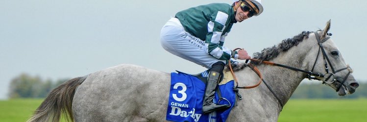 Sarah O' Connell banner