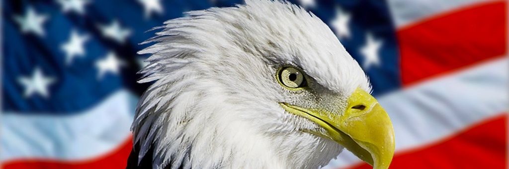 ledbill12's profile banner image
