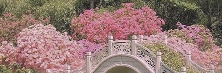 hellonetiii's profile banner image