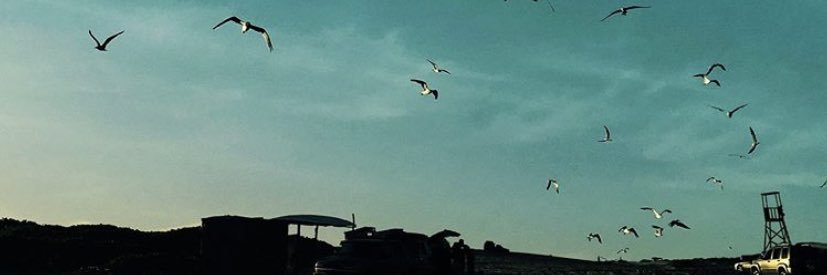 pab_dg's profile banner image