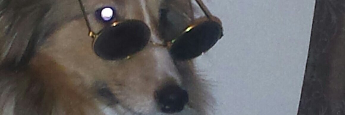 steph (#1 hägg stan) banner