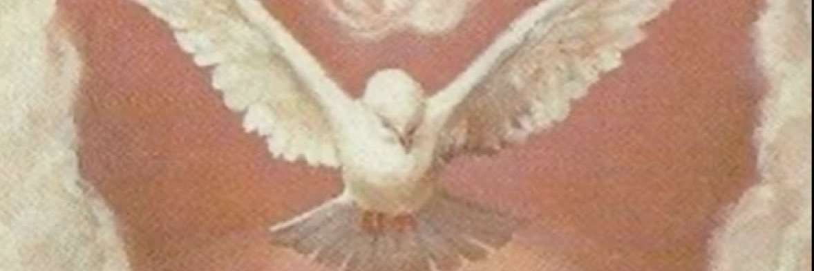Gjozu's profile banner image