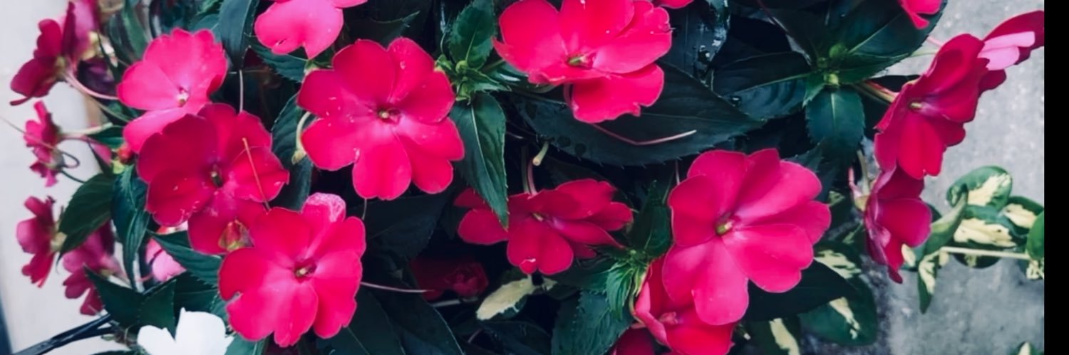 BeyondPrettyyy's profile banner image