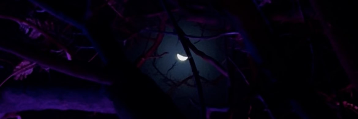MeliFortunio's profile banner image