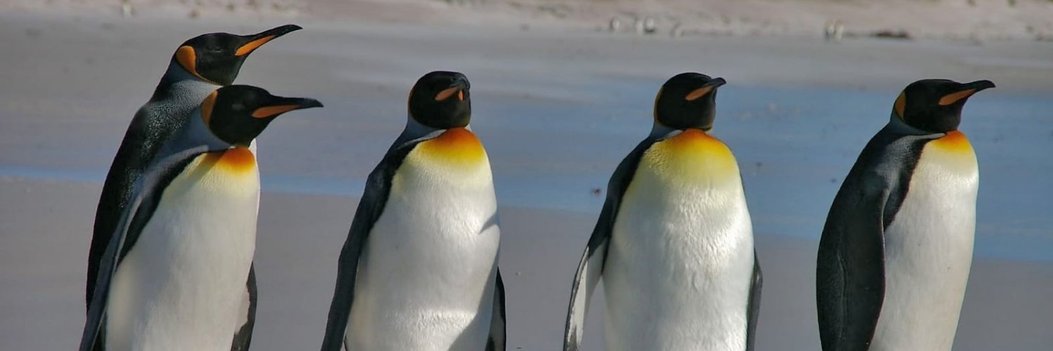 BirkleCosmin's profile banner image