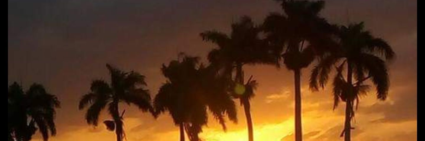 bourdierd85's profile banner image