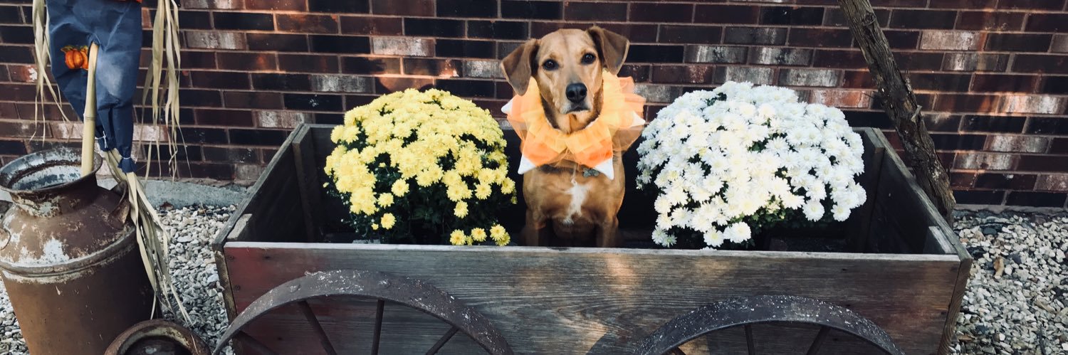 Lauren Parrish banner