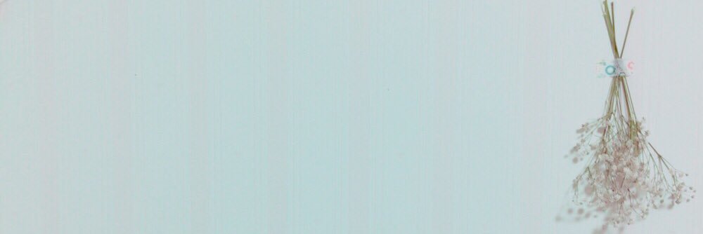 ile__tamago's profile banner image