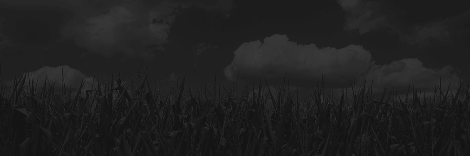 MattSLIDER's profile banner image