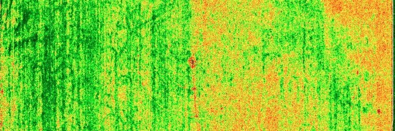 Michael Morris banner