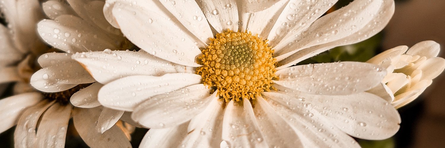 mileearanda's profile banner image