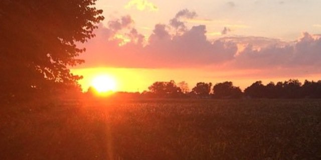 AmyBarkholz's profile banner image