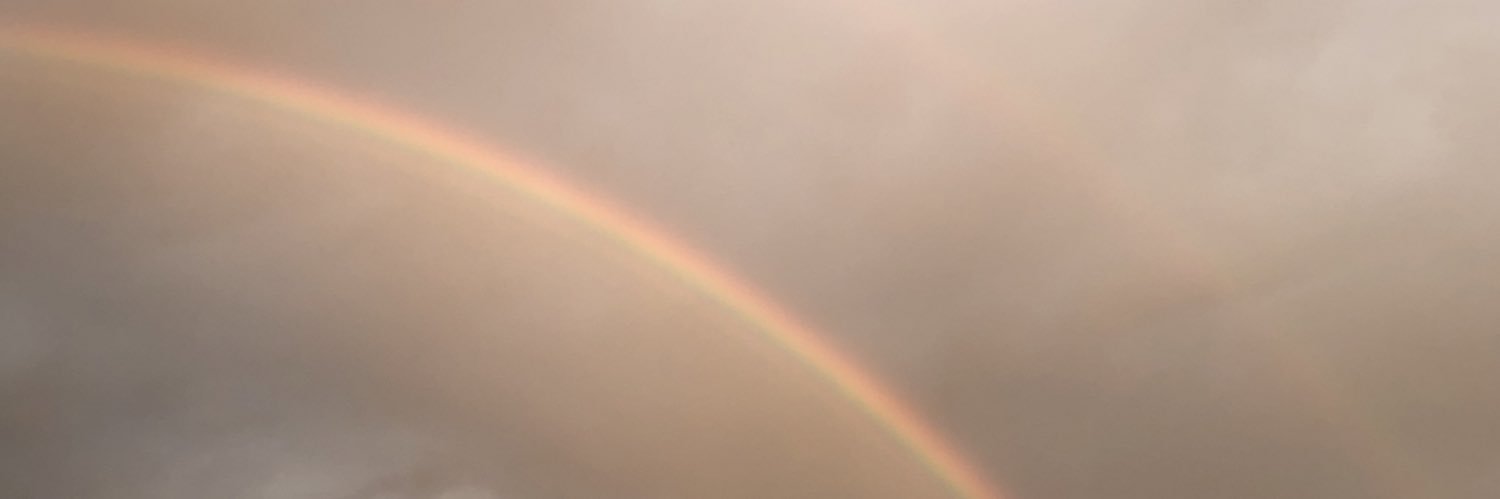 _emilycelli's profile banner image