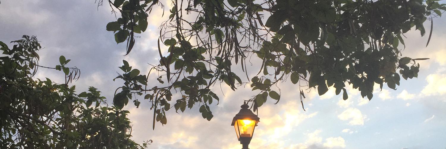 missdieed's profile banner image