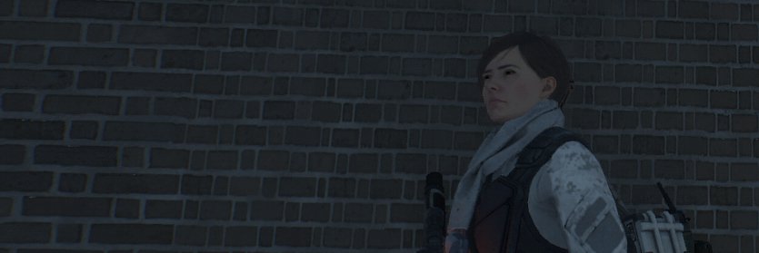Divisionagent44's profile banner image