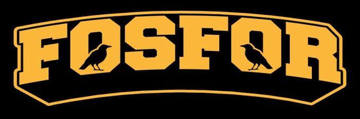 fosforius's profile banner image