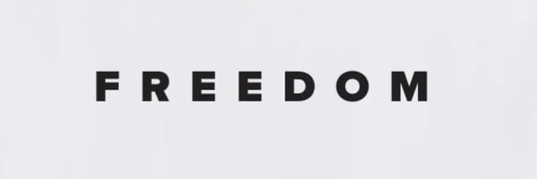 Brachydois banner