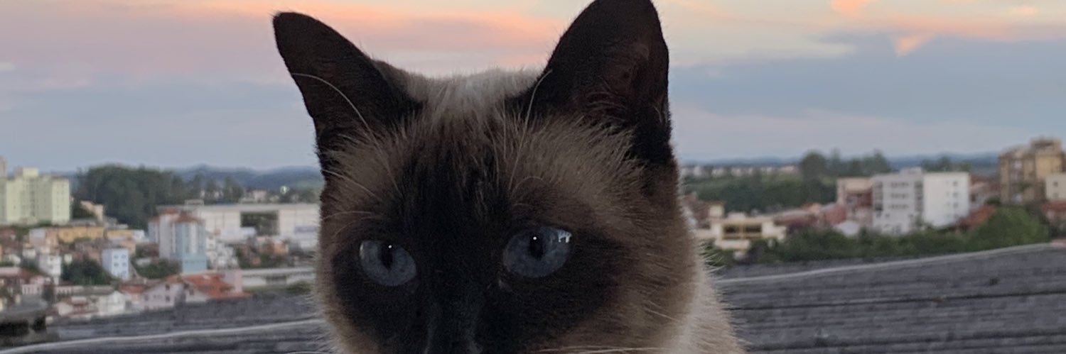 damasemilly's profile banner image