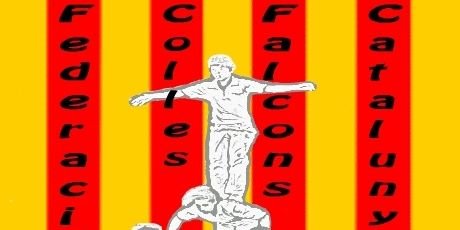 Federació Falcons banner
