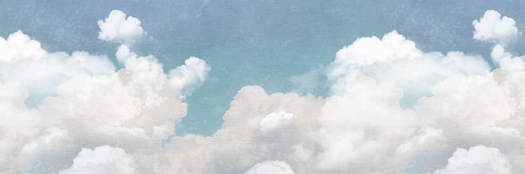 Lina Alotaibi. banner
