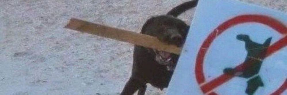 Baltasardm's profile banner image