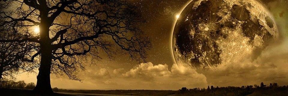 Arvin1222's profile banner image