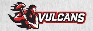 Vulcans Baseball banner