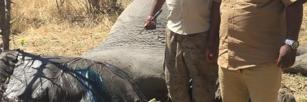 mfbenda Profile Banner