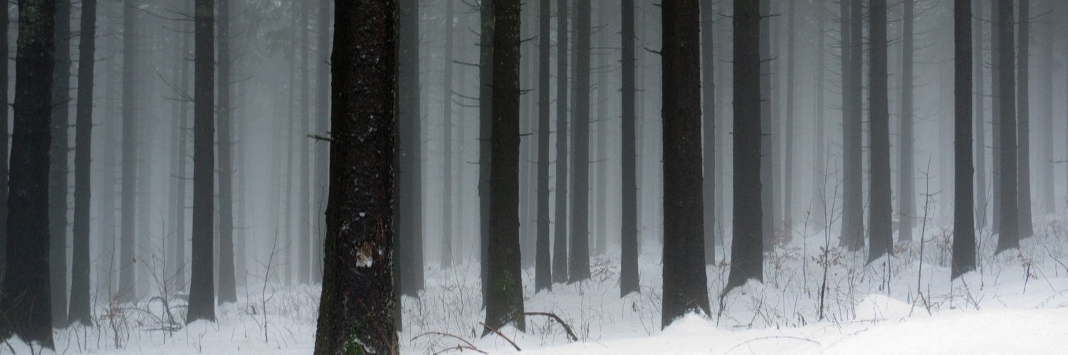 danielius162's profile banner image