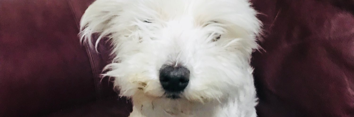 tayahea's profile banner image