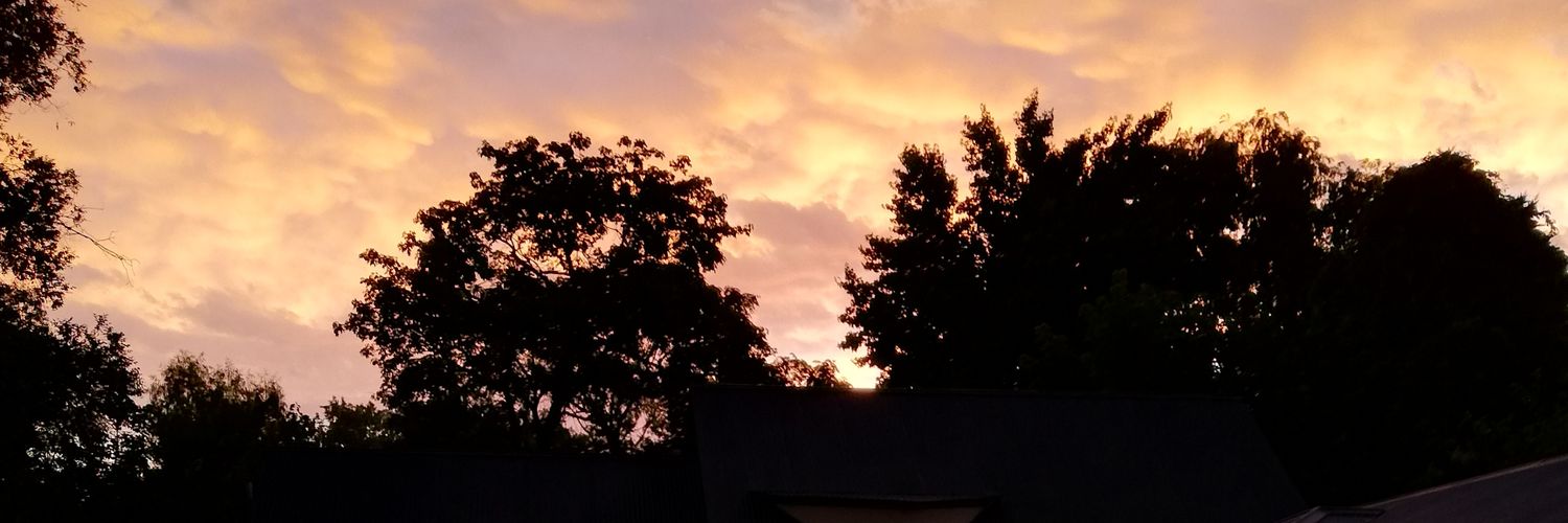 lulideodato's profile banner image