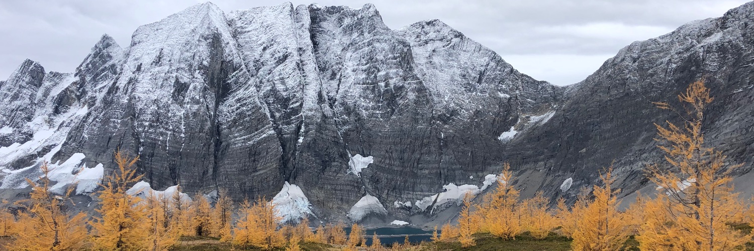 Molly Segal @mollyaudio.bsky.social banner