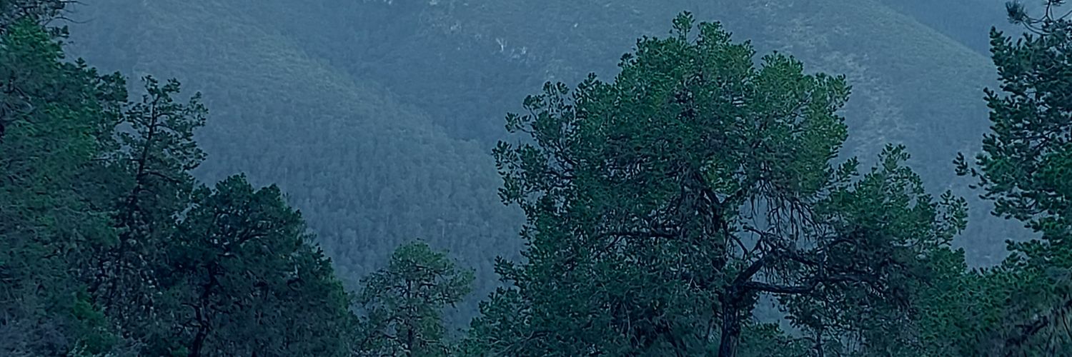 lacho_94's profile banner image
