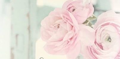 LuzmaPink's profile banner image