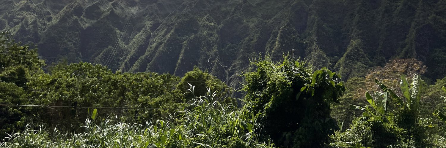 junellemiguel's profile banner image