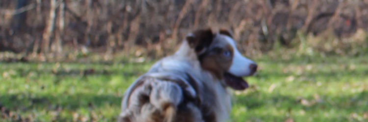 moevadas's profile banner image