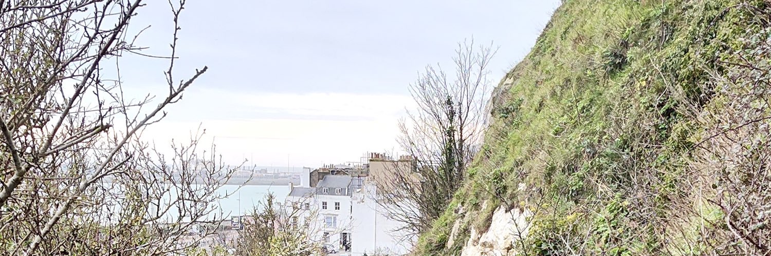 daiumuse's profile banner image