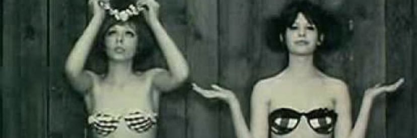 ipp_on_n's profile banner image
