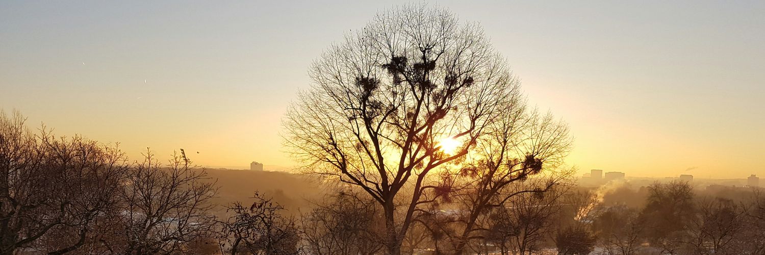jsbrandt93's profile banner image