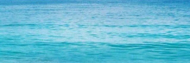 Kate_Harrell8's profile banner image