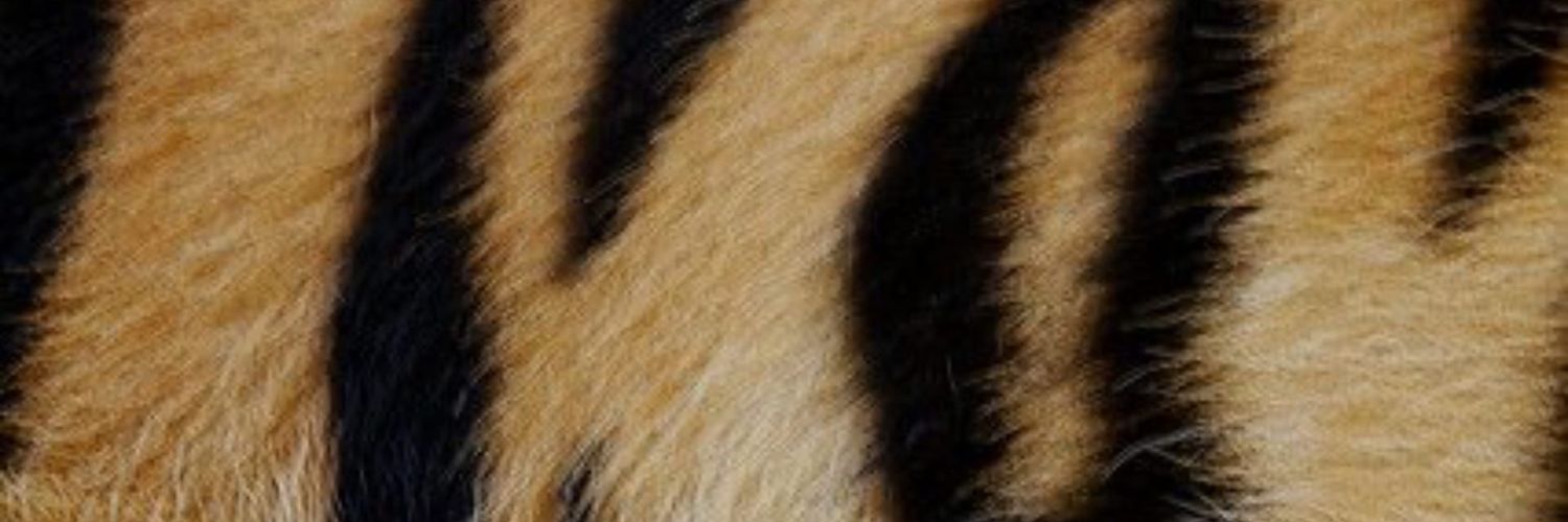 JBmeekness's profile banner image