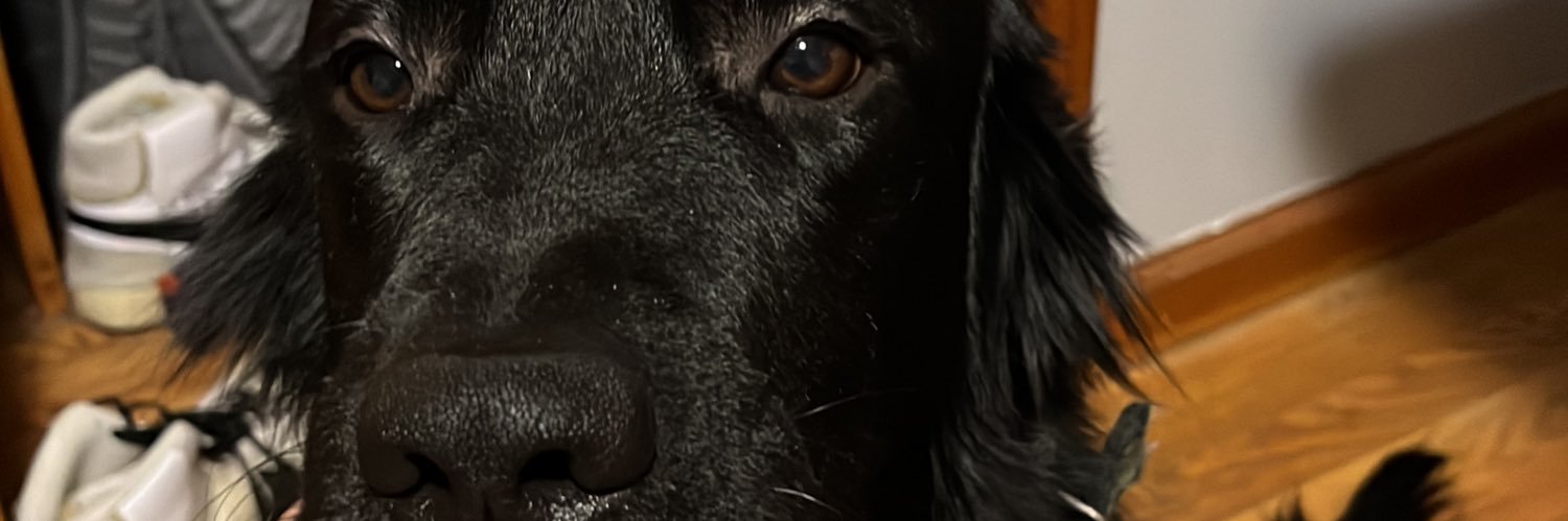 offnuzy's profile banner image