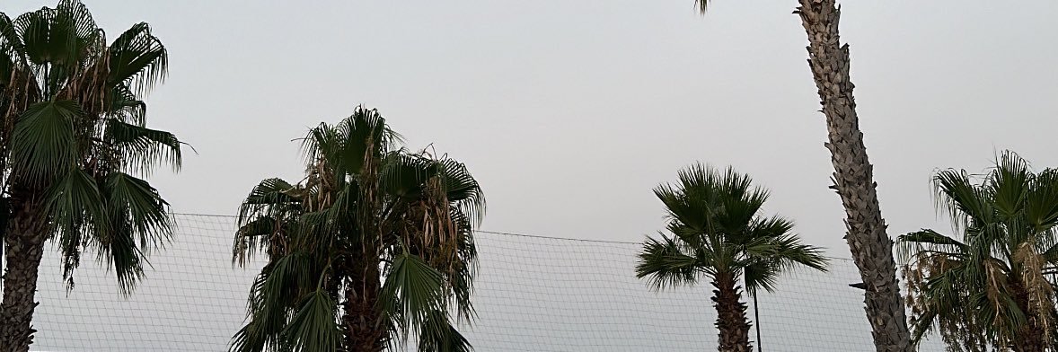 BalOglcan's profile banner image