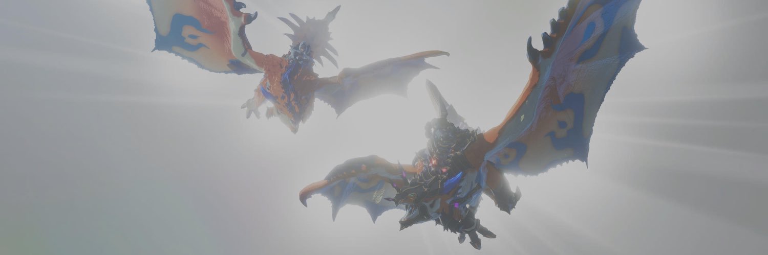 Michal bakula banner