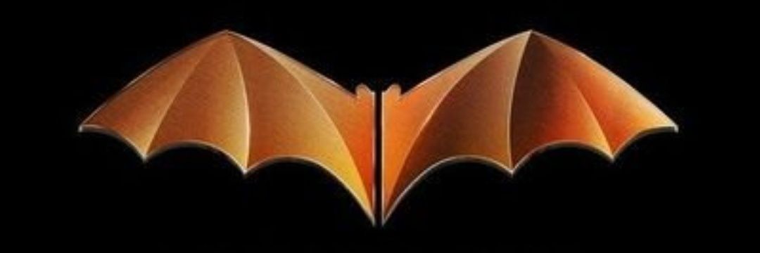 josesapi64's profile banner image