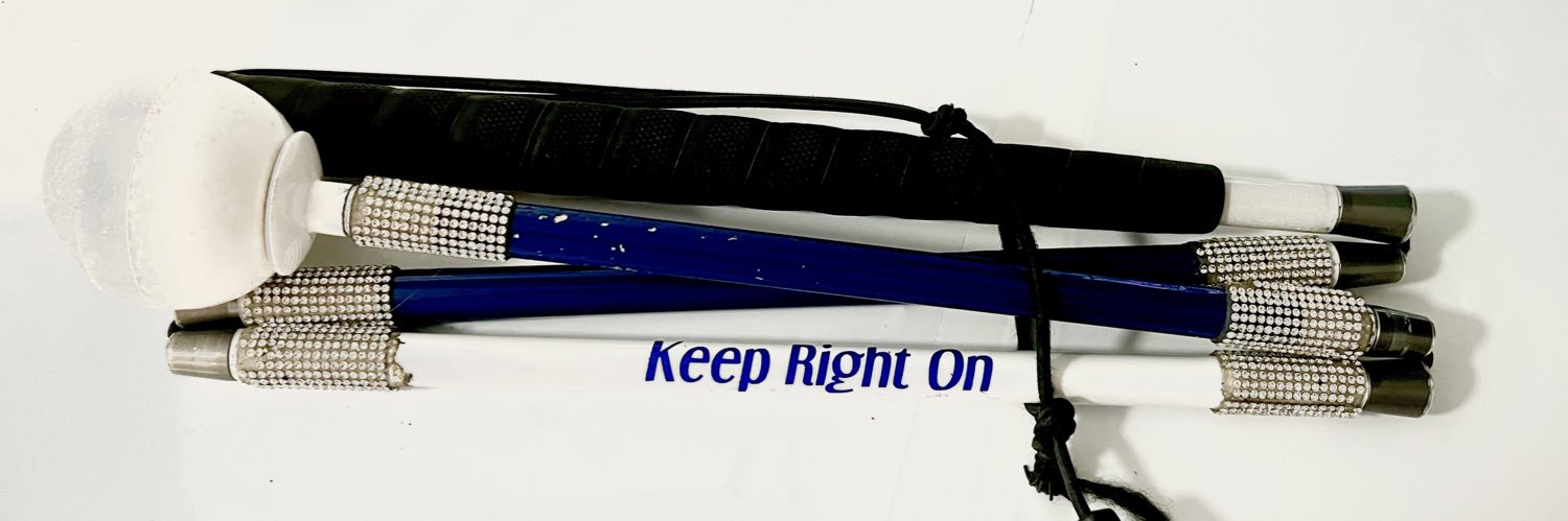 🌻💕 Linzie P 💞🌻 banner