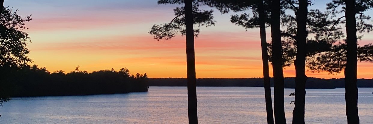 taylorweick's profile banner image