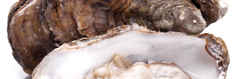AudreyLohmann's profile banner image