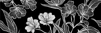 martha__bolt's profile banner image