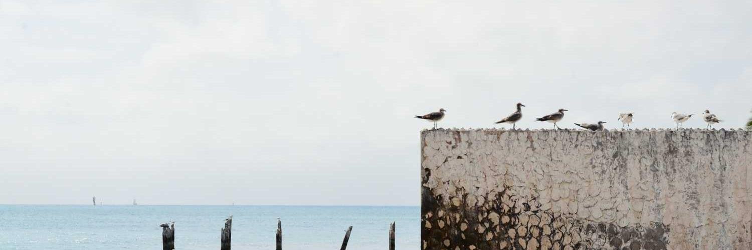 lindscuck's profile banner image